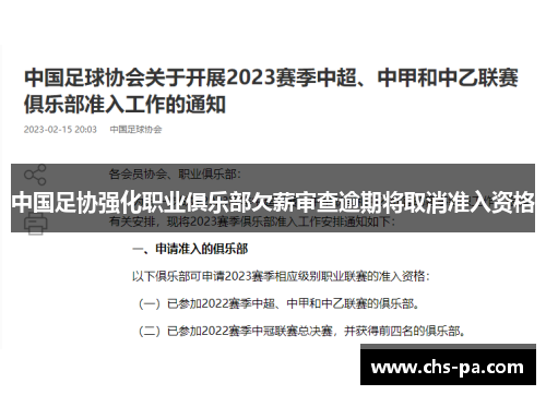 中国足协强化职业俱乐部欠薪审查逾期将取消准入资格 中国足协强化职业俱乐部欠薪审查逾期将取消准入资格